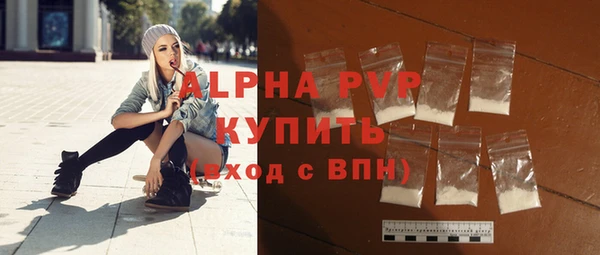 стафф Арсеньев