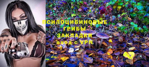 стафф Арсеньев