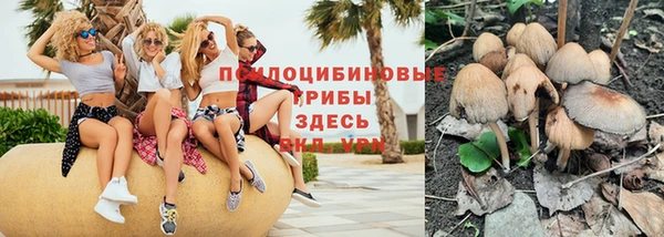 стафф Арсеньев
