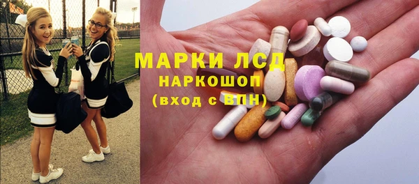 стафф Арсеньев