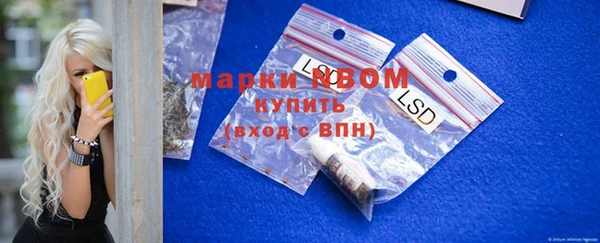ECSTASY Алзамай