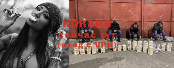 стафф Арсеньев