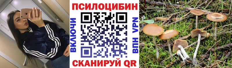 Псилоцибиновые грибы GOLDEN TEACHER  Верхотурье 